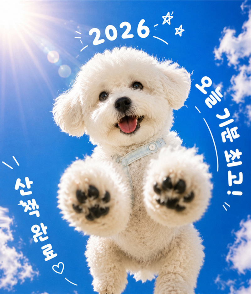 生成案例1